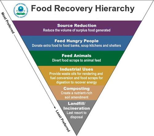 restaurant food waste food recovery hierarchy