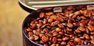 food quality coffee beans