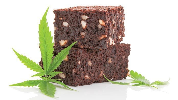 marijuana edibles cannabis pot brownie