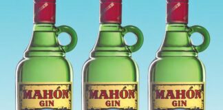 Mahon Spanish Gin
