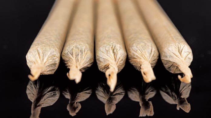 cannabis marijuana rolled in joints