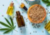 cannabis bar lounge oil seeds