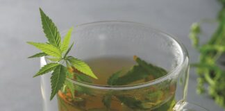 CBD Beverages herbal cannabis tea