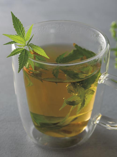 CBD Beverages herbal cannabis tea