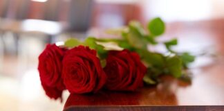 in memoriam red roses