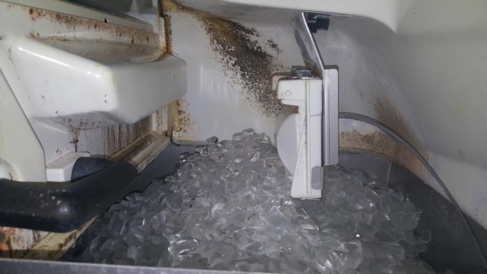 found inside ice maker ? : r/Mold