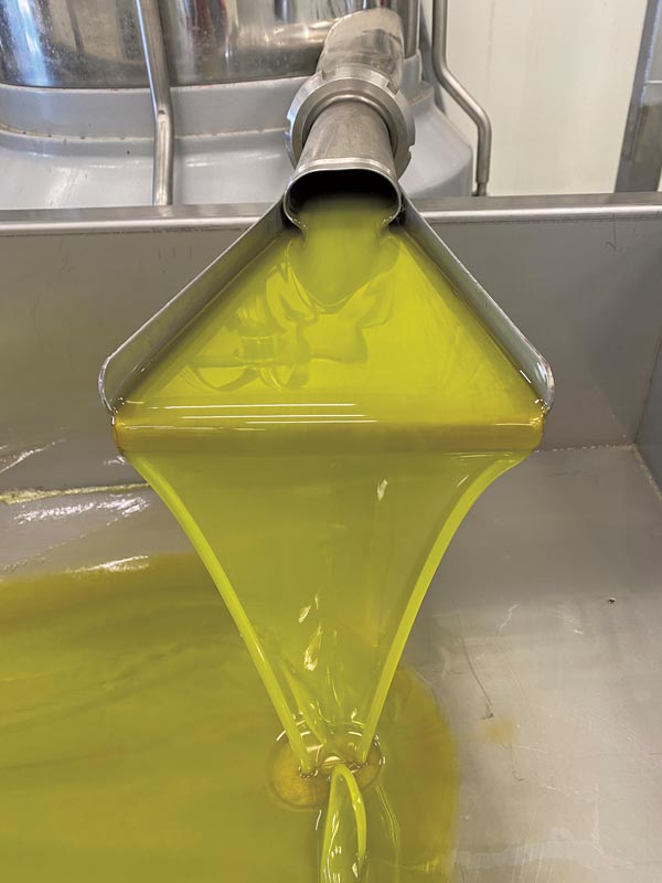 fresh extra virgin olive oil extrusion